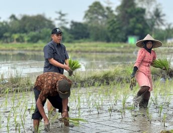 Kembali Lakukan Tanam, Irpom Berhasil Cegah Gagal Tanam Dimusim Kemarau
