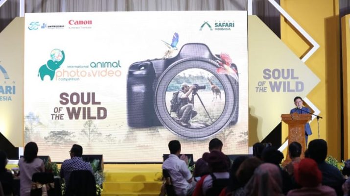 Apresiasi Karya Terbaik dalam Fotografi dan Videografi Alam Liar