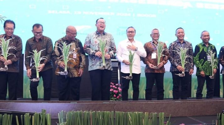 Strategi Tumpang Sari Padi Gogo di Lahan PSR