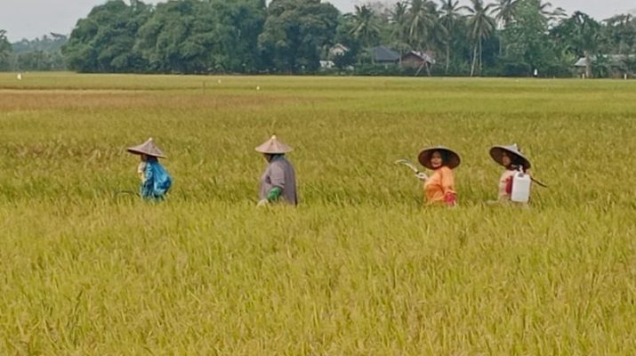 Memperingati Hari Perempuan Pedesaan Internasional: Mengakui Peran dan Tantangan Perempuan Pedesaan