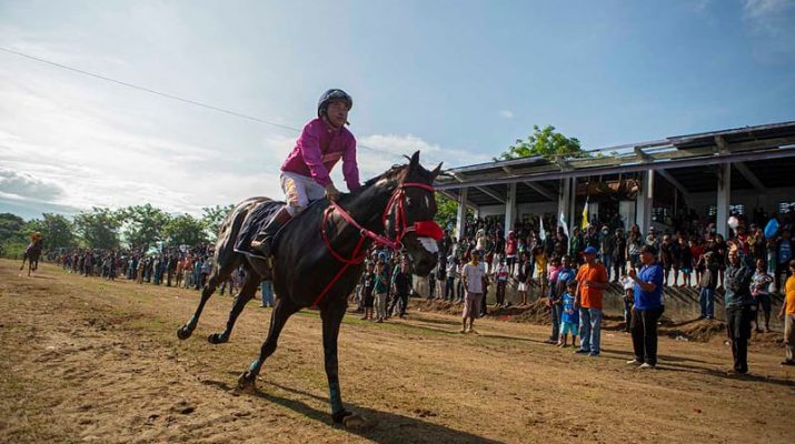 Pordasi Berkomitmen akan Urus Zona Bebas Penyakit Kuda