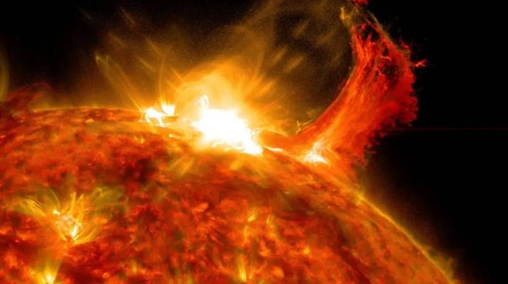 Mengungkap Badai Matahari Kuno Melalui Cincin Pohon: Penemuan Peristiwa Miyake yang Langka