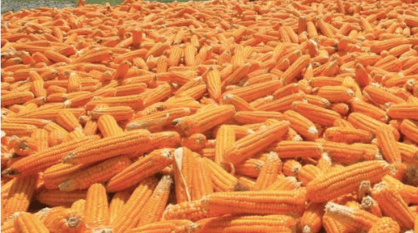 Zulkifli Klaim Indonesia Setop Impor Gula-Garam Tahun Depan