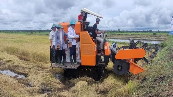 Program Lumbung Pangan di Merauke Bawa Optimisme Baru bagi Warga Kampung Kaliki