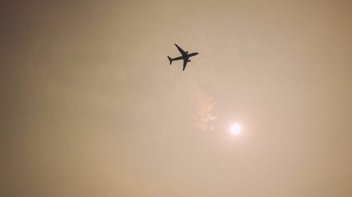 Pesawat Azerbaijan Airlines Jatuh karena Burung?