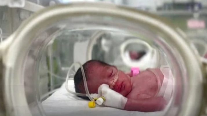 Tiga Bayi Gaza Meninggal Kedinginan dalam Tenda Pengungsian