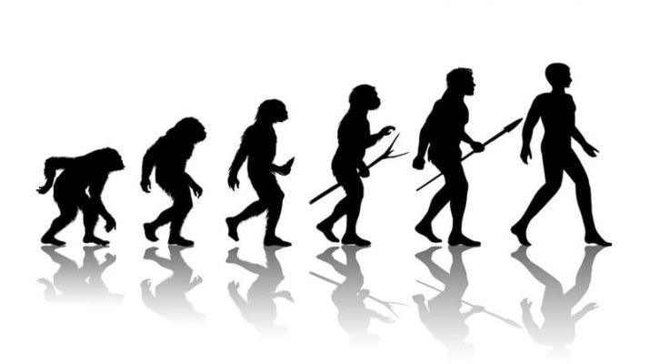 Yuk, Mengenal 6 Macam Teori Evolusi