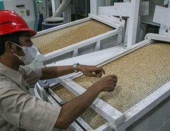 BULOG  Siap Membeli Gabah dan Beras Sesuai Kualitas dan HPP