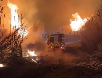 Ini Daftar Selebriti Los Angeles yang Menyumbang Jutaan Dolar untuk Bantuan Kebakaran Hutan