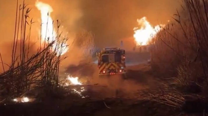 Ini Daftar Selebriti Los Angeles yang Menyumbang Jutaan Dolar untuk Bantuan Kebakaran Hutan