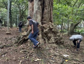 Usai Bertemu Kemenkomdigi, Jagat Ubah Format Permainan Berburu Koin