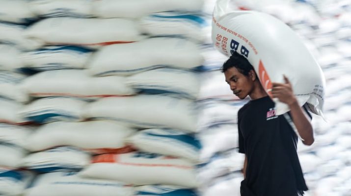 Bulog Targetkan Serap 1,4 Juta Ton Beras di Musim Panen Raya Pertama