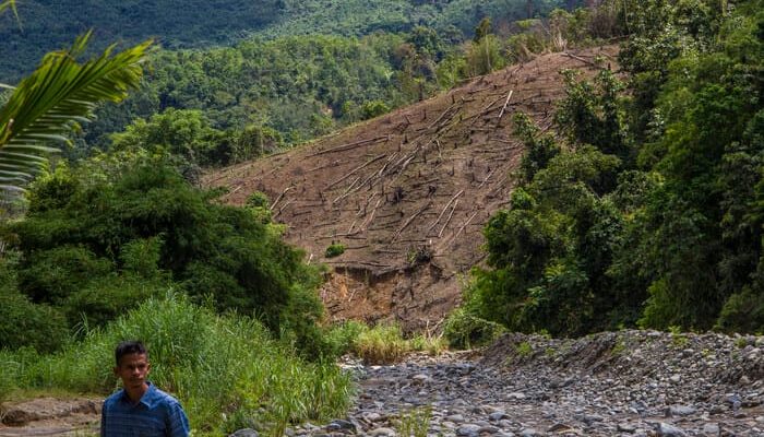 Deforestasi 20 Juta Hektare untuk Pangan dan Energi Dibayangi Bencana Ekologis