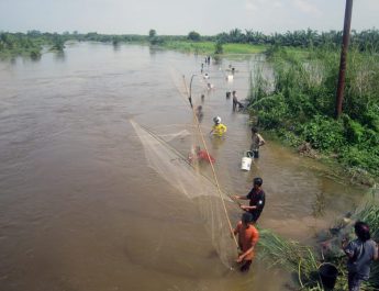 Banjir Meluas ke Lima Kabupaten, Riau Minta Bantuan Pusat