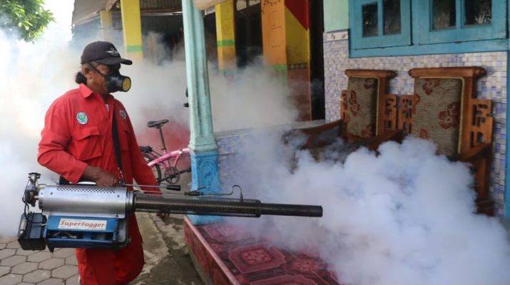 Melonjak Jadi 146 Kasus DBD di Pacitan, Dinkes Ajak Masyarakat Gencarkan PSN