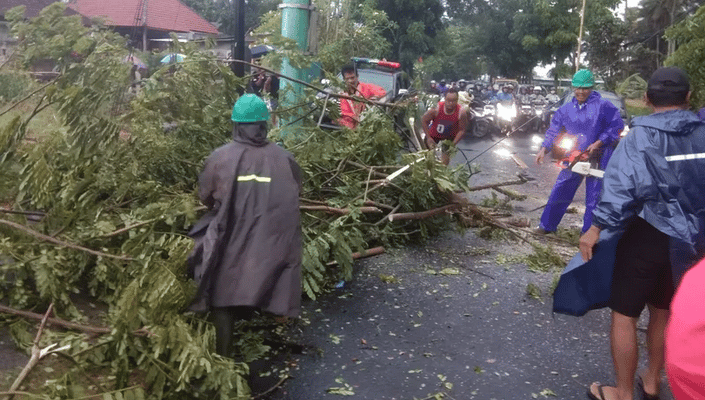 Petugas Evakuasi Pohon Tumbang Imbas Hujan Deras di Jakarta Barat