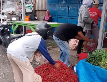 Harga Komoditas Cabai Keriting di Bengkulu, Kembali Naik