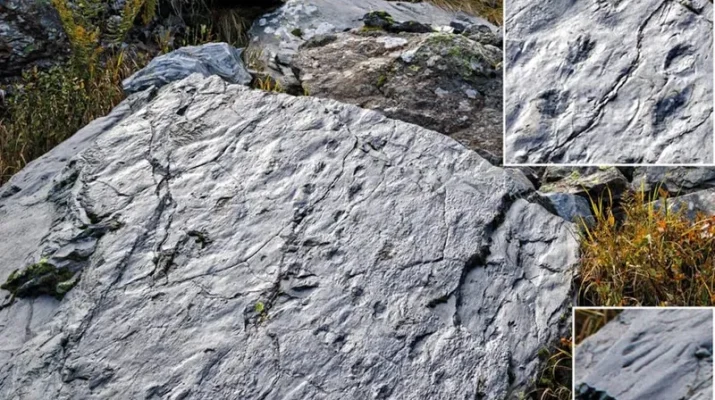 Mengejutkan! Wanita Ini Temukan Jejak Kehidupan Prasejarah di Pegunungan Italia