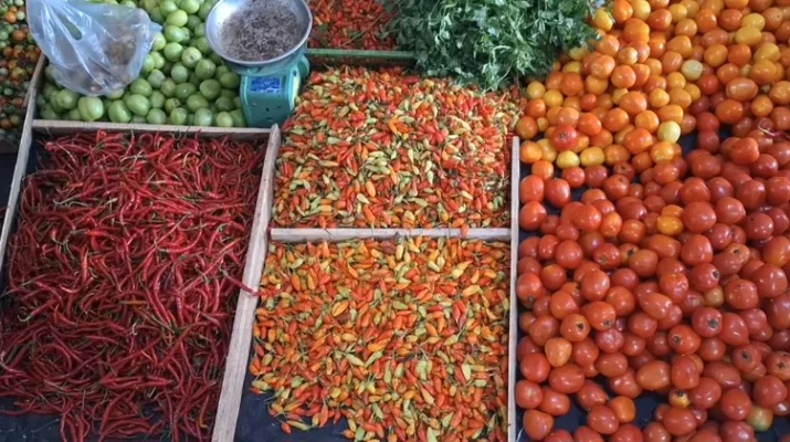 Faktor Cuaca Penyebab Harga Cabai Rawit di Bangka Rp90 Ribu per Kilogram