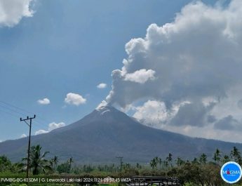 Baru 1,5 Bulan Turun Level, Gunung Lewotobi Laki-Laki Kembali Berstatus Awas