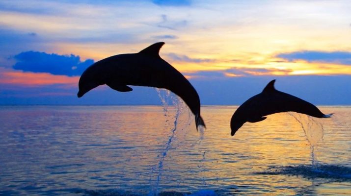 Empat inspirasi wisata keluarga di Bali