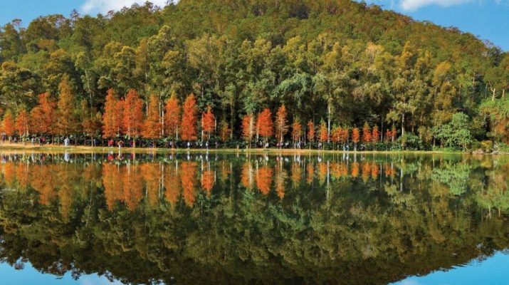 Delapan destinasi wisata alam menarik di Hong Kong