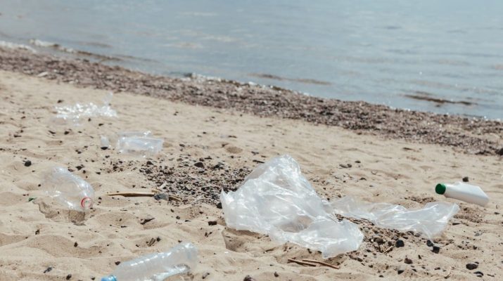 Kelola sampah laut Bali guna wujudkan pariwisata berkelanjutan