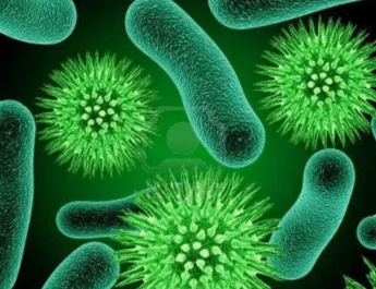 Jangan Bawa Masuk Sepatu yang Sudah Dipakai ke Dalam Rumah, Ini Bahayanya