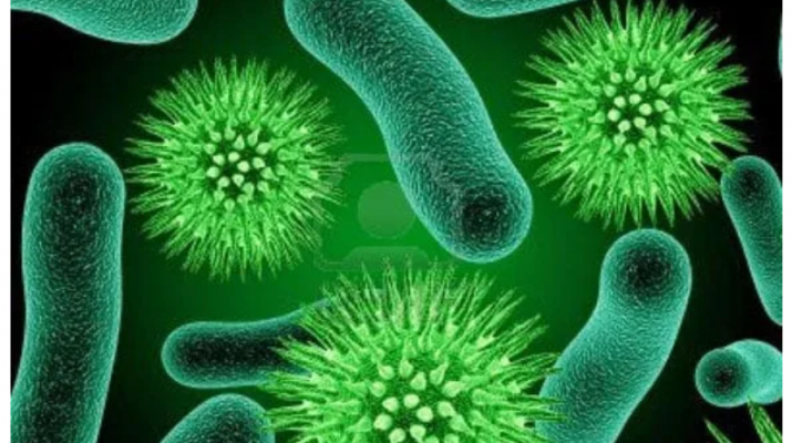 Jangan Bawa Masuk Sepatu yang Sudah Dipakai ke Dalam Rumah, Ini Bahayanya