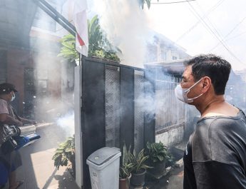 198 Kasus DBD Tercatat di Kota Tasikmalaya, Didominasi Anak-Anak