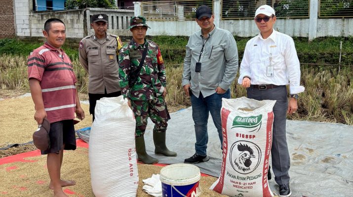 Bulog Jawa Barat Berhasil Menyerap Gabah di Atas 100% dari Target