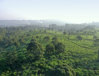 Pembangunan Eiger Camp bukan di Kaki Gunung Tangkubanparahu, Perizinan Lengkap, Kooefisien Dasar Bangunan 2%