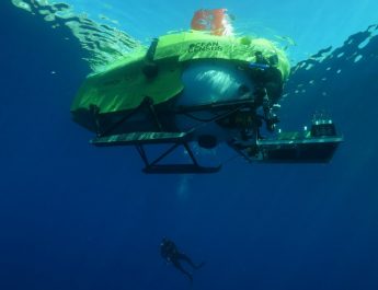 866 Spesies Laut Baru Ditemukan Ocean Census, Termasuk Hiu Gitar dan Siput Berbisa