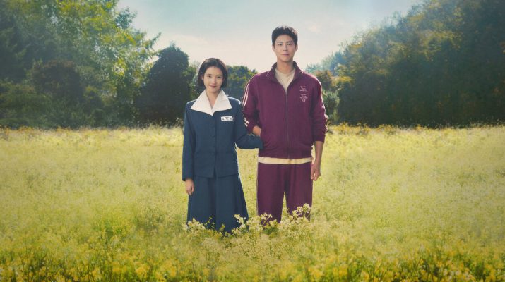 Hal-Hal Menarik dari Drakor IU dan Park Bo-gum, When Life Gives You Tangerines