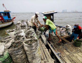 Marak Pungli, Nelayan Muara Angke Diminta Lapor Polisi