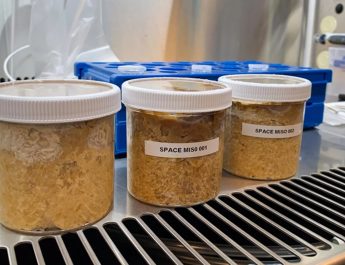 Miso Pertama yang Difermentasi di Luar Angkasa, Bagaimana Rasanya?