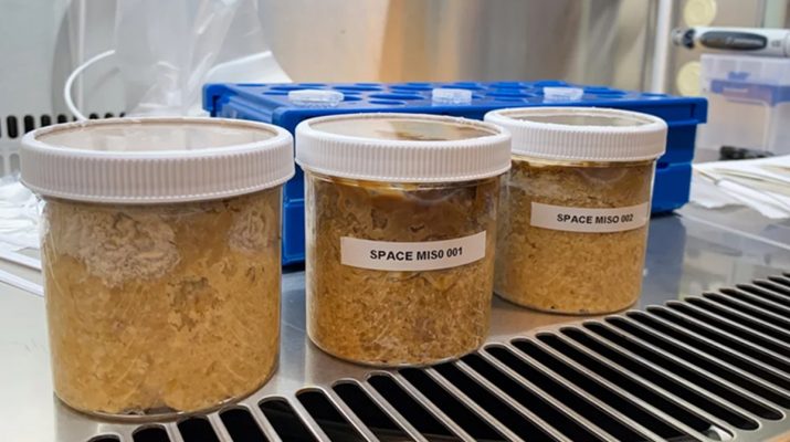 Miso Pertama yang Difermentasi di Luar Angkasa, Bagaimana Rasanya?