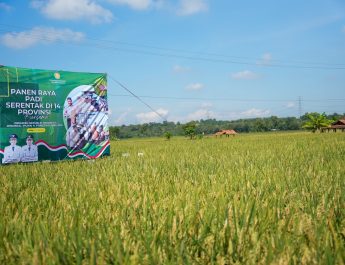 Hasil Panen di Kabupaten Purwakarta Mengalami Tren Positif