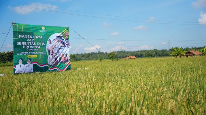 Hasil Panen di Kabupaten Purwakarta Mengalami Tren Positif