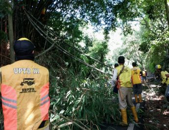 Rumpun Bambu Tumbang, Akses Jalan di Lembang Sempat Terputus