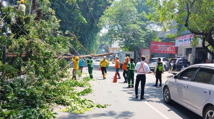 Hindari Bahaya, PT KAI Daop 3 Pangkas Pohon di Stasiun Cirebon Prujakan