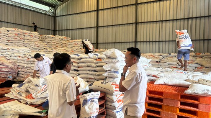 Panen Raya Tiba, Bulog Ciamis Serap Gabah Mencapai 20.842 ton