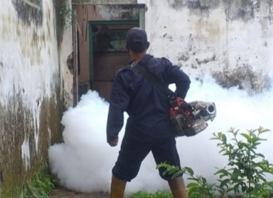 Dua Meninggal, Kasus DBD di Kota Tasikmalaya Terus Meningkat