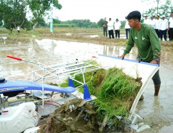 Indramayu Lakukan Percepatan Tanam