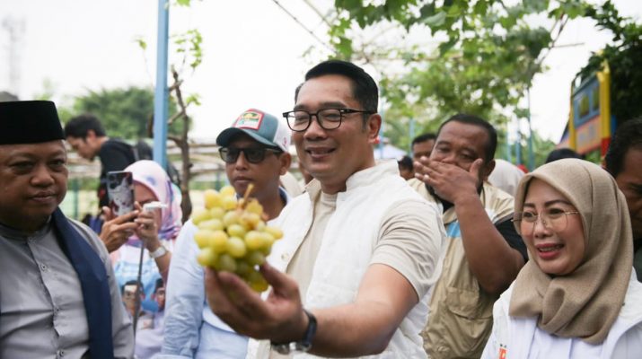 Blusukan ke Agro Eduwisata, RK Ungkapkan Rencana Pemanfaatan Lahan Terbengkalai