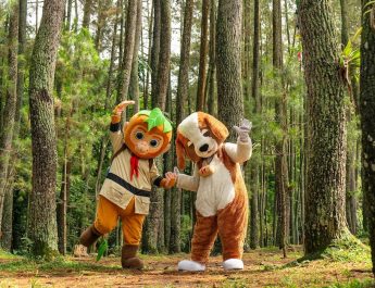 Nikmati Kedamaian Alam dengan Paket Stay & Forest di Swiss-Belresort Dago Heritage