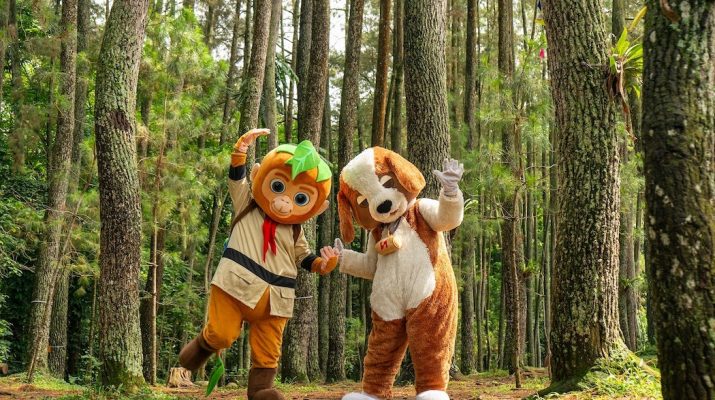 Nikmati Kedamaian Alam dengan Paket Stay & Forest di Swiss-Belresort Dago Heritage