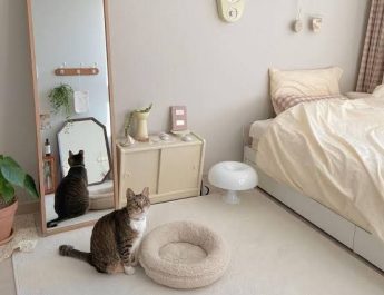 Kamar Kos Estetik: 5 Tips Rapi & Bikin Betah!