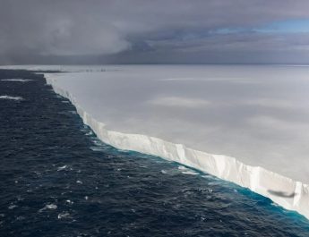 Gunung Es Terbesar Dunia Mulai Hancur, Habitat Jutaan Penguin di South Georgia Terancam