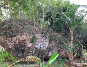 Batu Raksasa Ini Dipindahkan Tsunami Setinggi 50 Meter, Begini Penjelasan Ilmiahnya!